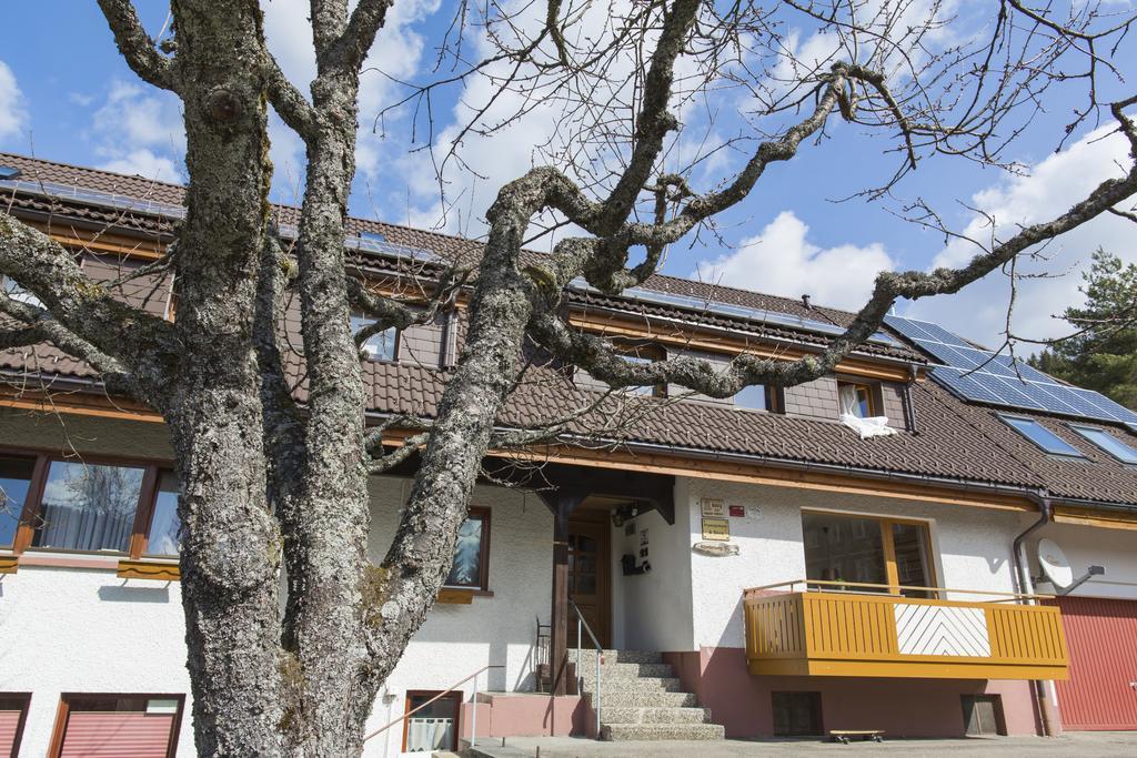 Kuckucksnester Menzenschwand Apartment