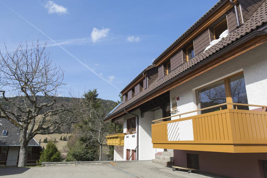 Kuckucksnester Menzenschwand *